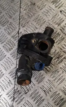 Thermostat/thermostat housing