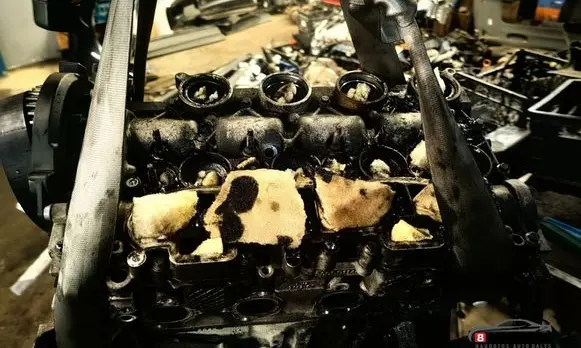 Volvo V50 Engine d4164t
