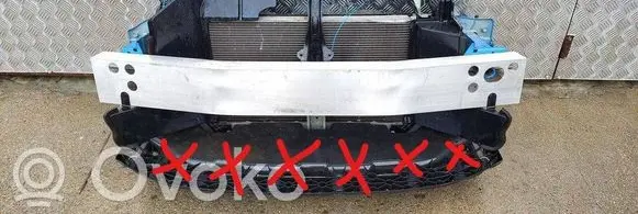 Nissan Leaf I (ZE0) Radiator support slam panel