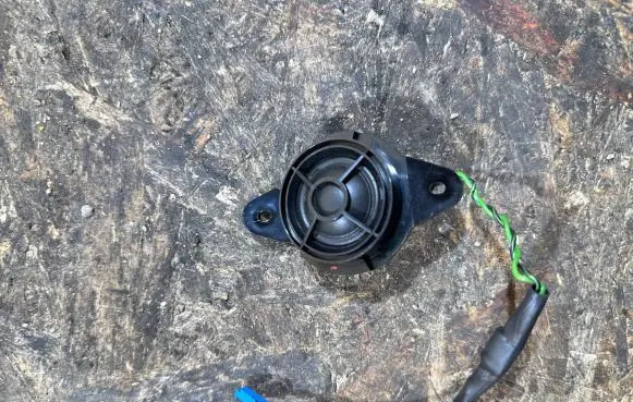 Front door high frequency speaker