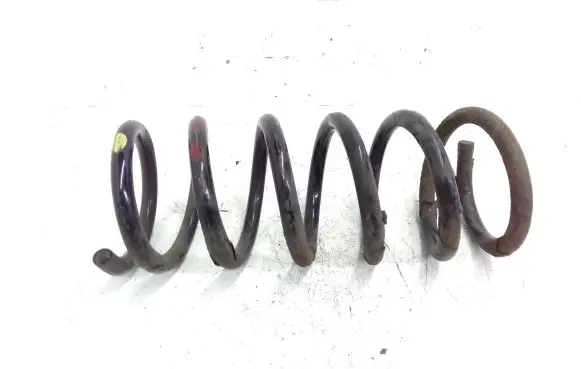 Chevrolet Captiva Rear coil spring