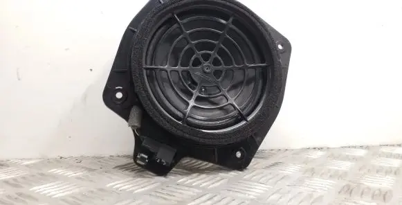 Rear door speaker