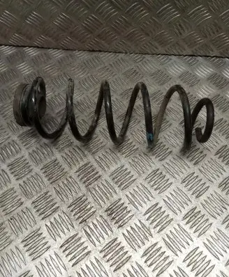 Volkswagen New Beetle Rear coil spring