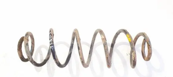 Rear coil spring