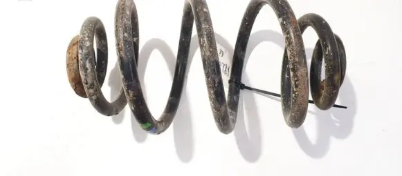 Volkswagen PASSAT B5.5 Rear coil spring