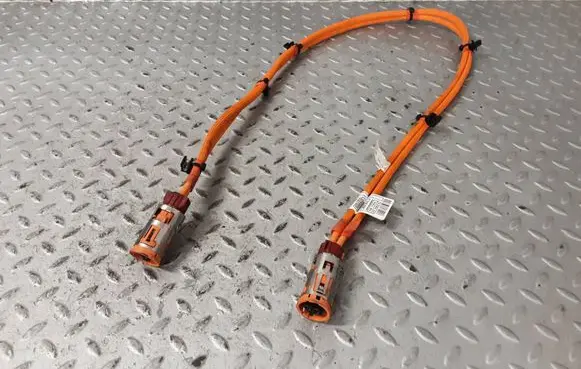 BMW X1 U11 Other wiring loom 5A1CA69 5A1CA68 61295A1CA69