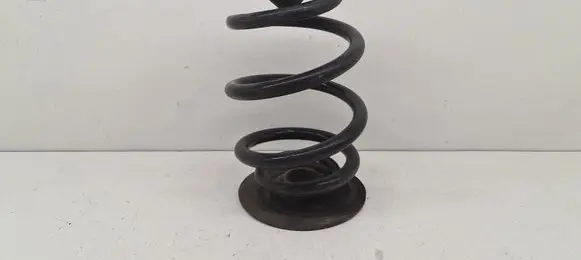 BMW Z4 E89 Rear coil spring 6784924