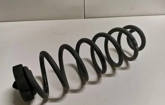 Audi Q5 SQ5 Rear coil spring