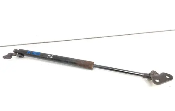 Tailgate/trunk strut/damper
