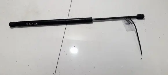 Tailgate/trunk strut/damper