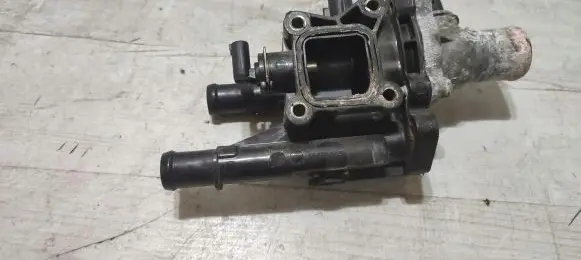 Thermostat/thermostat housing