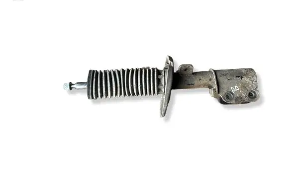 Citroen C4 Grand Picasso Front shock absorber/damper
