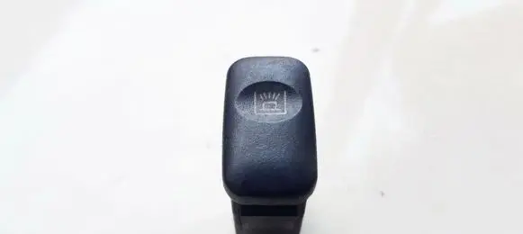 KIA Carnival Front seat light