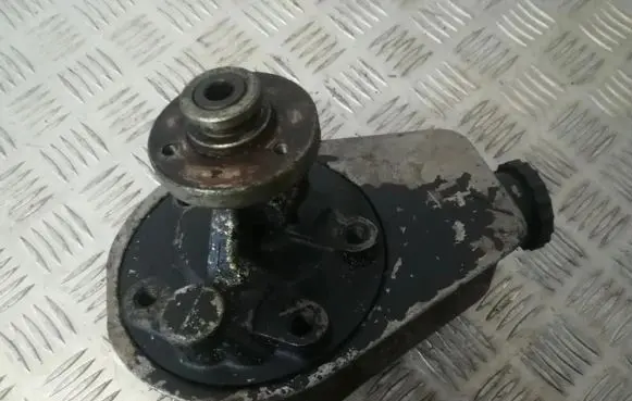 Renault Scenic I Power steering pump