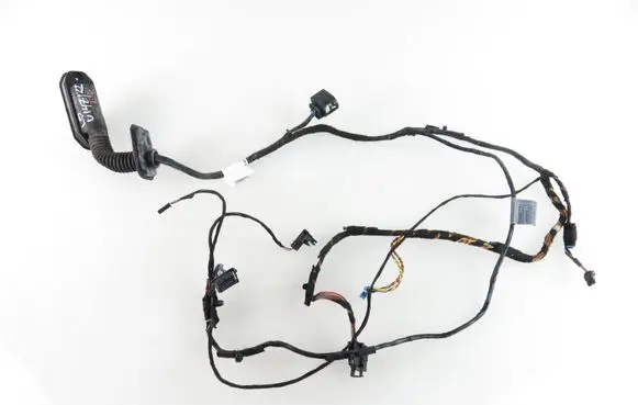 BMW X6 E71 Other wiring loom 9207841