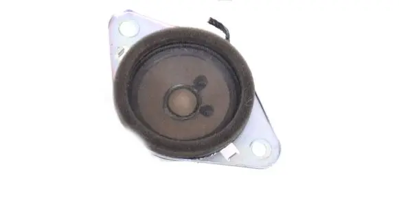 Front door speaker