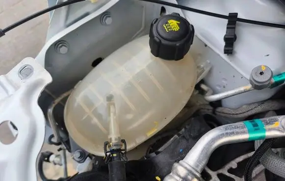 Renault Express Coolant expansion tank/reservoir 217101878R