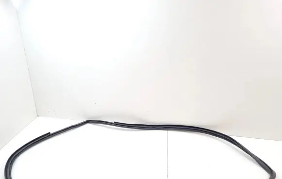 Toyota Prius (XW50) Rear door rubber seal (on body) 