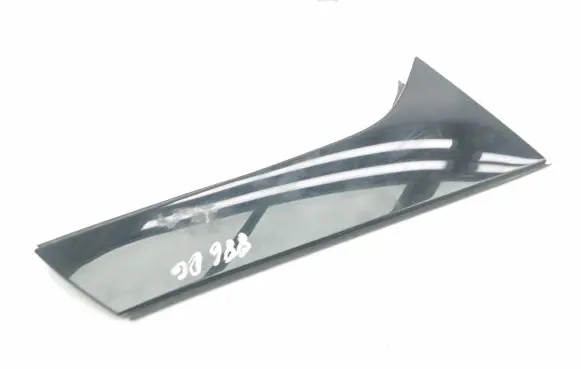 Rear door glass trim molding