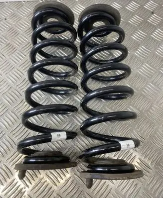 Rear coil spring