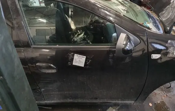 Dacia Sandero Front door NV676
