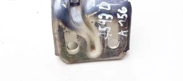 Rear door lower hinge