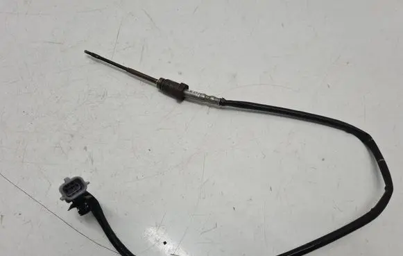 Exhaust gas temperature sensor
