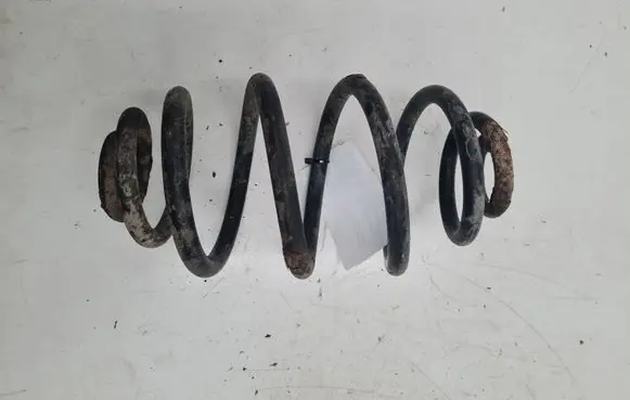 Volkswagen PASSAT B5 Rear coil spring