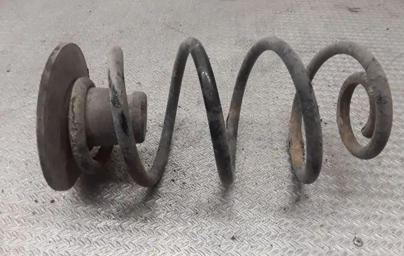 Rear coil spring