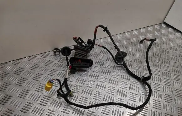 Audi A4 S4 B8 8K Front door wiring loom 3C0971615