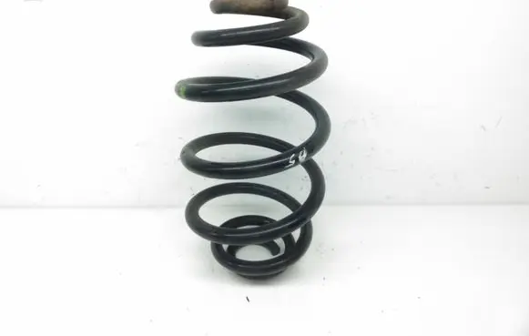 Volkswagen PASSAT B5 Rear coil spring