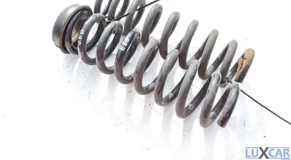 BMW X1 E84 Rear coil spring 