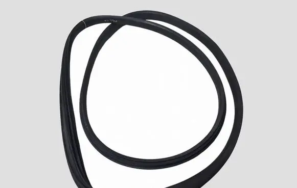 Renault Megane III Front door rubber seal