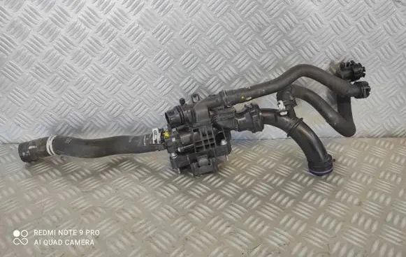 Thermostat/thermostat housing