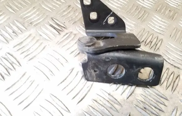 Tailgate/trunk/boot hinge