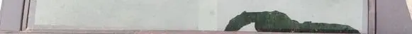 Rear door glass trim molding