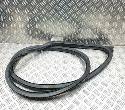 Audi E-tron GT Rubber seal front coupe door 9J1831721A