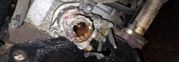 Volkswagen PASSAT B5 Engine coolant pipe/hose 