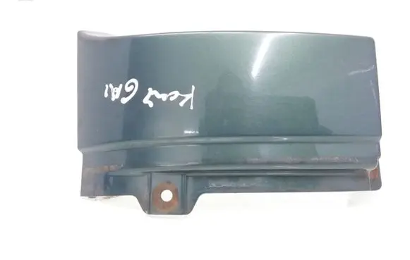 Rear/tail light trim molding