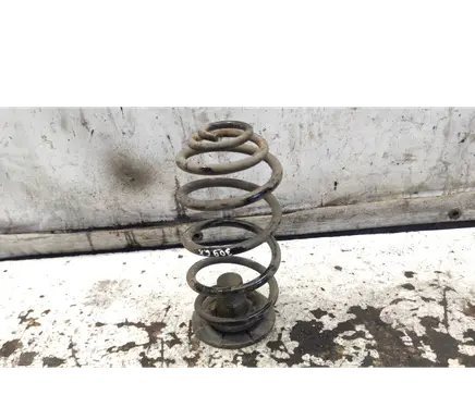 Rear coil spring