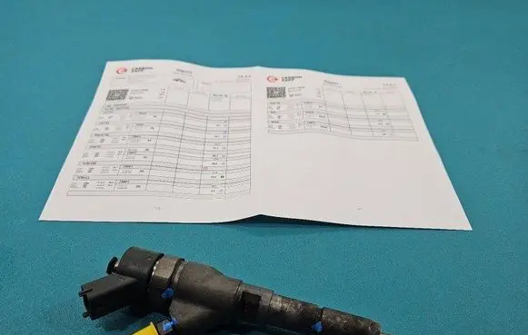 Peugeot 206 Fuel injector 0445110008 IMPRK1507219