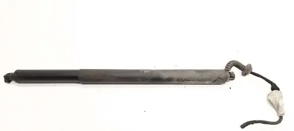 Tailgate/trunk strut/damper