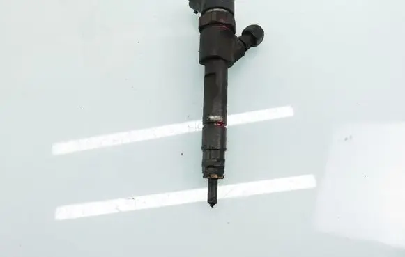 Renault Espace - Grand espace IV Fuel injector 0445110110B 8200100272