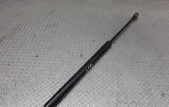 Nissan Murano Z50 Tailgate/trunk strut/damper 0555N