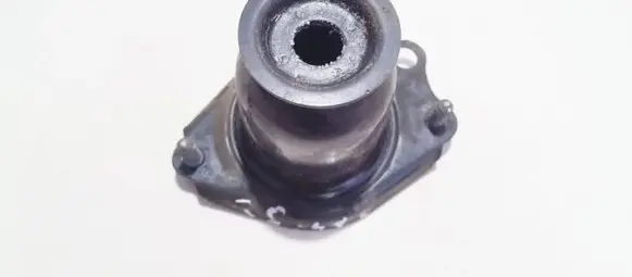 Coil spring mount