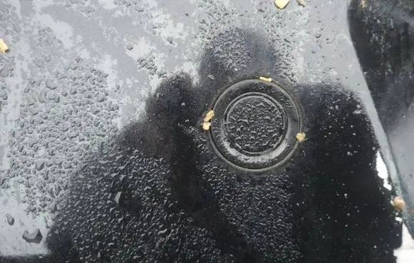 Opel Insignia A Parking PDC sensor