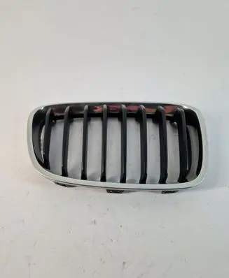 BMW 1 F20 F21 Front grill 7239022