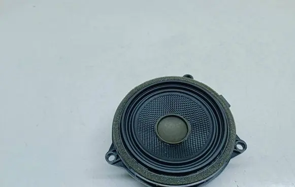 Rear door speaker