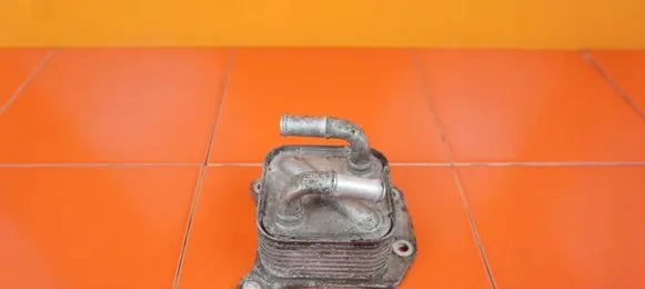 Nissan Juke I F15 Engine oil radiator MR16
