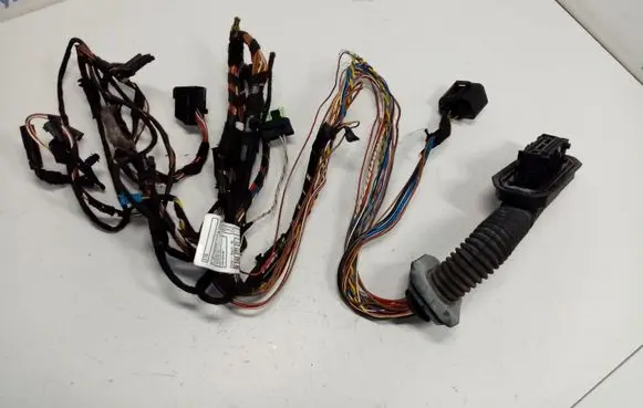 Front door wiring loom